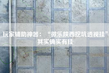 玩家辅助神器：“微乐陕西挖坑透视挂”其实确实有挂