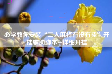 必学教你安装“二人麻将有没有挂”开挂辅助脚本+详细开挂