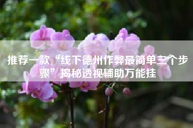 推荐一款“线下德州作弊最简单三个步骤”揭秘透视辅助万能挂