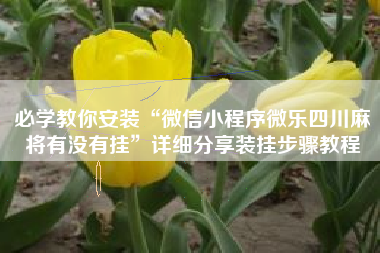 必学教你安装“微信小程序微乐四川麻将有没有挂”详细分享装挂步骤教程