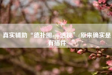 真实辅助“德扑圈app透视”(原来确实是有插件