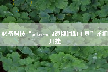 必备科技“pokerworld透视辅助工具”详细开挂