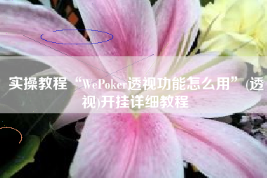 实操教程“WePoker透视功能怎么用”(透视)开挂详细教程