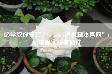 必学教你安装“wepoker透视脚本官网”(原来确实是有插件