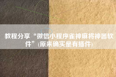 教程分享“微信小程序雀神麻将神器软件	”(原来确实是有插件)