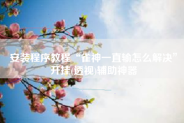 安装程序教程“雀神一直输怎么解决”开挂(透视)辅助神器