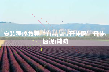 安装程序教程“有wepoker开挂吗”开挂(透视)辅助