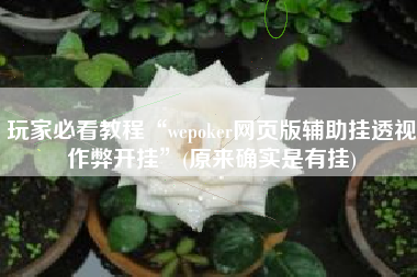 玩家必看教程“wepoker网页版辅助挂透视作弊开挂”(原来确实是有挂)