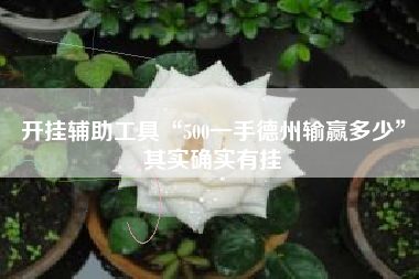 开挂辅助工具“500一手德州输赢多少”其实确实有挂