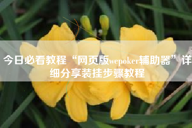 今日必看教程“网页版wepoker辅助器	”详细分享装挂步骤教程