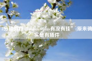 3分钟教程“wepokerplus有没有挂”(原来确实是有插件