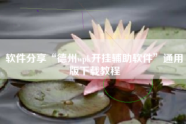 软件分享“德州wpk开挂辅助软件	”通用版下载教程