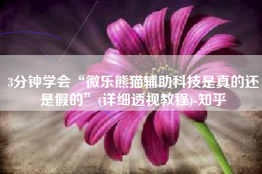 3分钟学会“微乐熊猫辅助科技是真的还是假的”(详细透视教程)-知乎