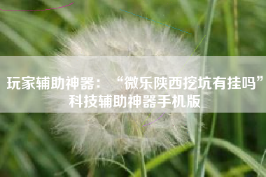 玩家辅助神器：“微乐陕西挖坑有挂吗	”科技辅助神器手机版