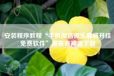 安装程序教程“手机微信微乐麻将开挂免费软件	”原来有神器下载