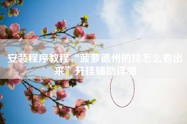 安装程序教程“菠萝德州的挂怎么看出来”开挂辅助详细