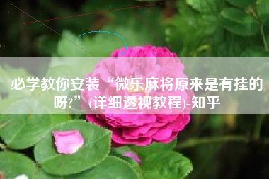 必学教你安装“微乐麻将原来是有挂的呀?”(详细透视教程)-知乎