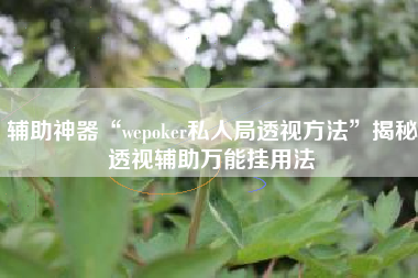 辅助神器“wepoker私人局透视方法”揭秘透视辅助万能挂用法
