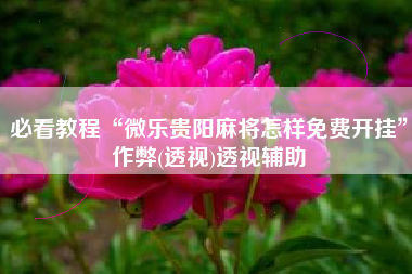 必看教程“微乐贵阳麻将怎样免费开挂	”作弊(透视)透视辅助