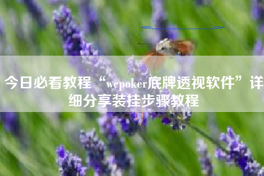 今日必看教程“wepoker底牌透视软件”详细分享装挂步骤教程