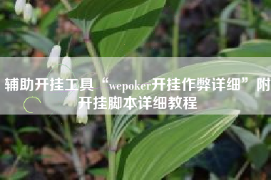 辅助开挂工具“wepoker开挂作弊详细	”附开挂脚本详细教程