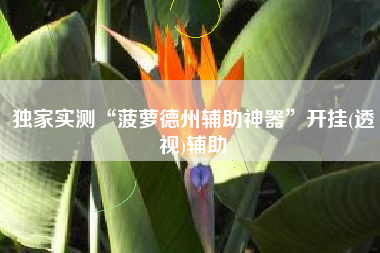 独家实测“菠萝德州辅助神器”开挂(透视)辅助