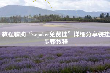 教程辅助“wepoker免费挂”详细分享装挂步骤教程