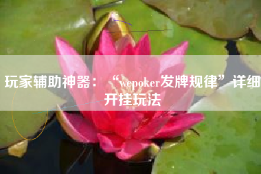 玩家辅助神器：“wepoker发牌规律”详细开挂玩法