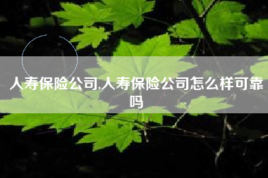 人寿保险公司,人寿保险公司怎么样可靠吗