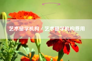 艺术留学机构／艺术留学机构费用