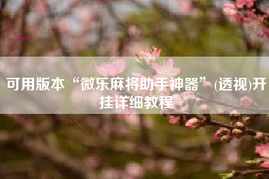 可用版本“微乐麻将助手神器”(透视)开挂详细教程