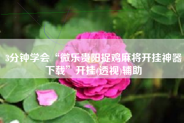 3分钟学会“微乐贵阳捉鸡麻将开挂神器下载”开挂(透视)辅助