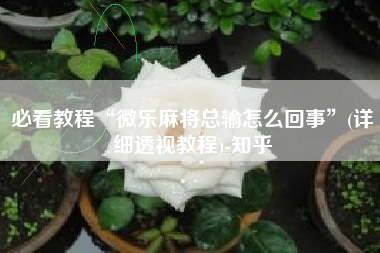 必看教程“微乐麻将总输怎么回事”(详细透视教程)-知乎