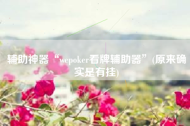 辅助神器“wepoker看牌辅助器	”(原来确实是有挂)