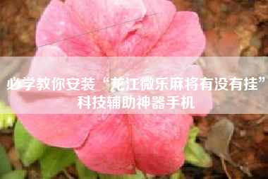 必学教你安装“龙江微乐麻将有没有挂”科技辅助神器手机