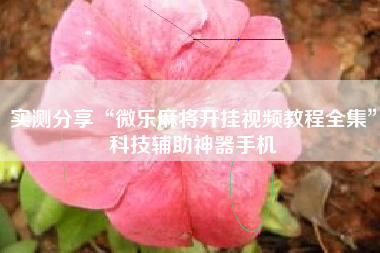 实测分享“微乐麻将开挂视频教程全集	”科技辅助神器手机