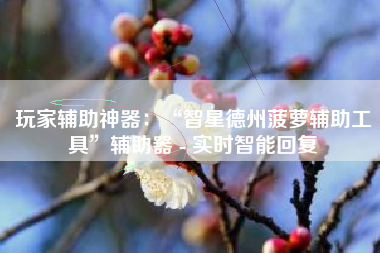 玩家辅助神器：“智星德州菠萝辅助工具”辅助器 - 实时智能回复