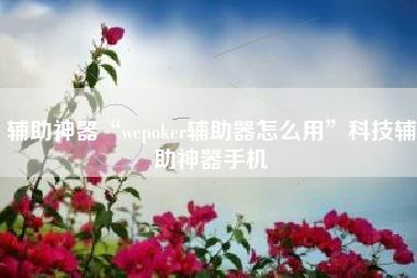 辅助神器“wepoker辅助器怎么用”科技辅助神器手机