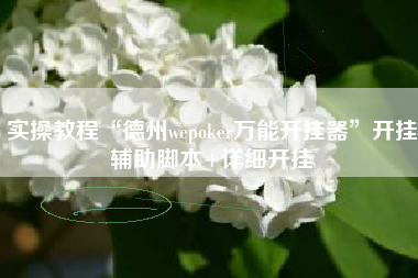 实操教程“德州wepoker万能开挂器”开挂辅助脚本+详细开挂