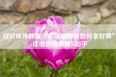安装程序教程“微乐跑得快如何拿好牌”(详细透视教程)-知乎