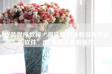 安装程序教程“微乐跑的快有没有开挂的软件	”(原来确实是有插件)