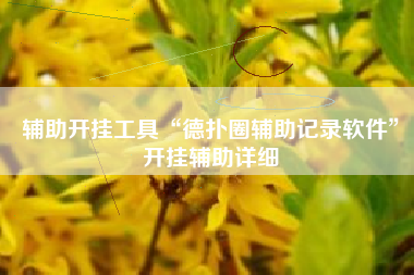 辅助开挂工具“德扑圈辅助记录软件”开挂辅助详细