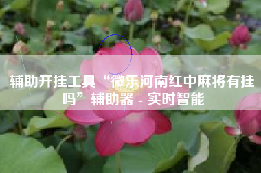 辅助开挂工具“微乐河南红中麻将有挂吗”辅助器 - 实时智能