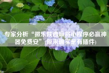 专家分析“微乐陕西麻将小程序必赢神器免费安”(原来确实是有插件)