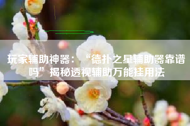 玩家辅助神器：“德扑之星辅助器靠谱吗”揭秘透视辅助万能挂用法