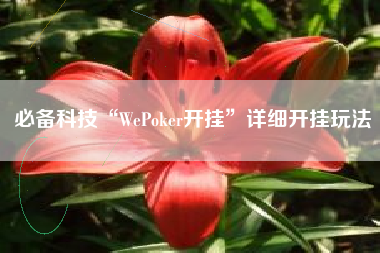 必备科技“WePoker开挂”详细开挂玩法