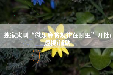 独家实测“微乐麻将规律在哪里	”开挂(透视)辅助