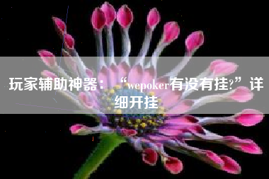 玩家辅助神器：“wepoker有没有挂?”详细开挂
