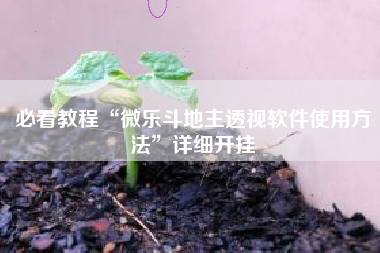 必看教程“微乐斗地主透视软件使用方法”详细开挂