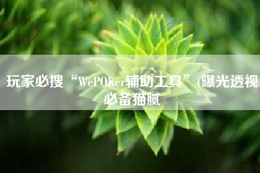 玩家必搜“WePOKer辅助工具”(曝光透视必备猫腻